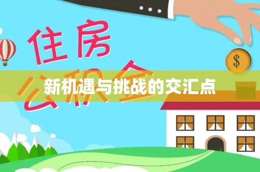 岫岩新机遇与挑战的交汇点