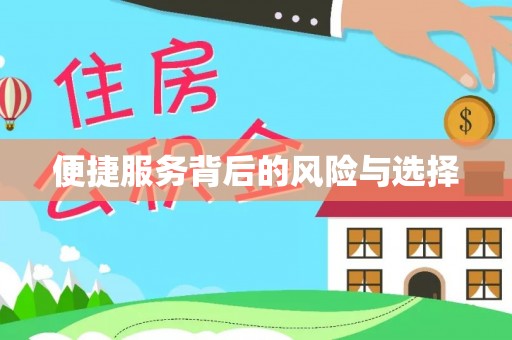 岫岩便捷服务背后的风险与选择